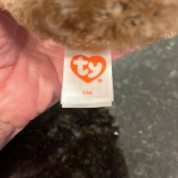 TY Beanie Baby 6" IDA Hedgehog Plush Stuffed Animal MWMT & Heart Protector MINT - Picture 10 of 11